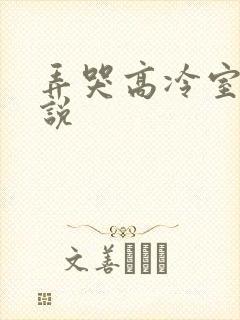 弄哭高冷室友小说