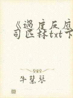 《过度反应》阿司匹林txt下载封面