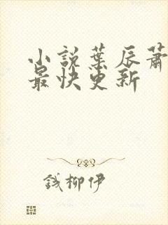 小说叶辰萧初然最快更新封面