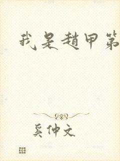 我是赵甲第小说封面