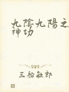 九阴九阳之阴阳神功