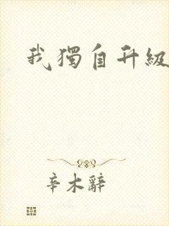 我独自升级漫画封面