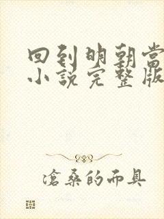 回到明朝当王爷小说完整版免费阅读封面