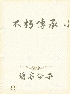 不朽传承 小说封面