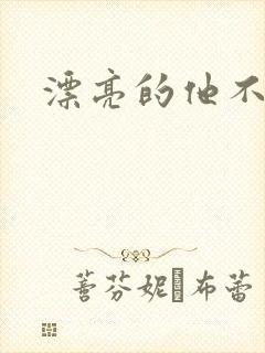 漂亮的他不说话