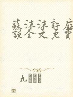 苏沫沫许庭川小说全文免费阅读