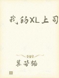 我的XL上司