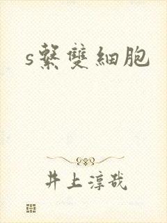 s系双细胞