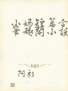 小妈短篇合集_笔趣阁小说封面