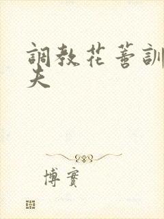 调教花蒂训诫从夫