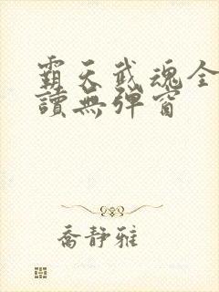 霸天武魂全文阅读无弹窗