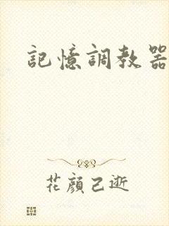 记忆调教器封面