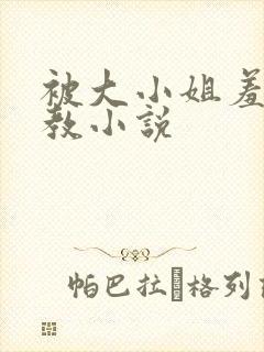 被大小姐羞耻调教小说