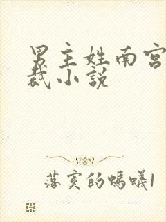 男主姓南宫的总裁小说