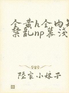 全黄h全肉短篇禁乱np慕浅浅封面