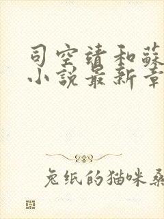 司空靖和苏月汐小说最新章节