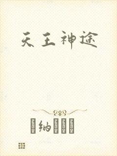 天王神途封面