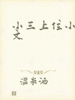 小三上位小说全文封面