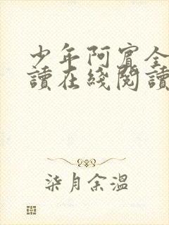 少年阿宾全文阅读在线阅读全文