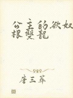 公主的欲奴h四根双龙