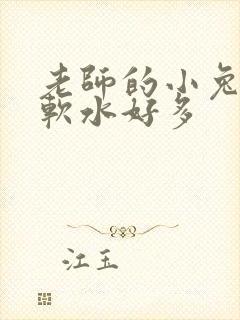 老师的小兔子好软水好多