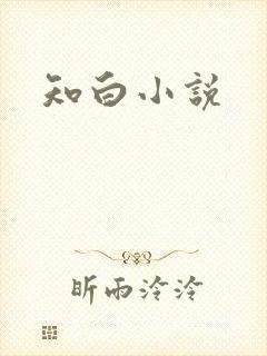 知白小说封面
