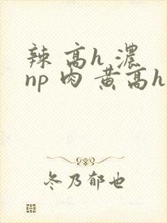 辣 高h 浓 np 肉 黄高h