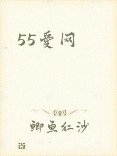 55爱网