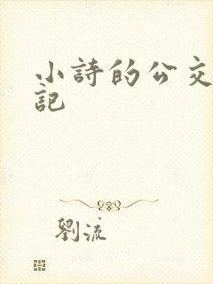 小诗的公交车日记