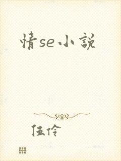 情se小说封面