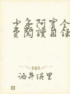 少年阿宾全文免费阅读目录