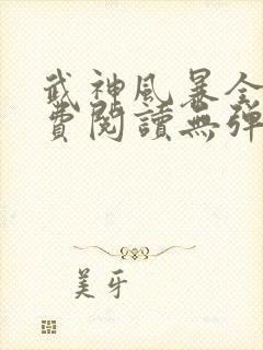 武神风暴全文免费阅读无弹窗笔趣阁