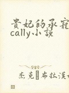 贵妃的承宠日常cally小说封面