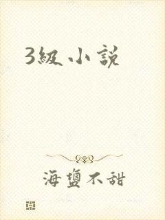 3级小说