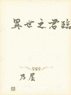 异世之君临天下封面