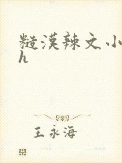 糙汉辣文小说纯h