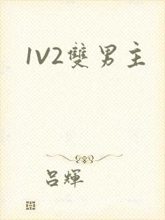 1V2双男主