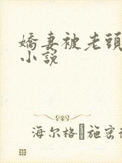 娇妻被老头肉欲小说