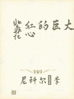 紫红的巨大顶开花心