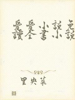 爱爱小说免费阅读全书小说乡村封面