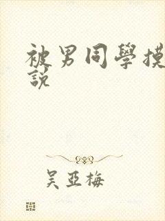 被男同学摸胸小说