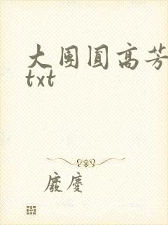 大团圆高芳小说txt