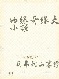 内缘奇缘大团圆小说封面