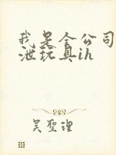 我是全公司的发泄玩具ih