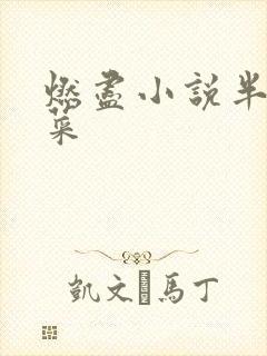 燃尽小说半截白菜封面