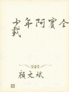 少年阿宾全集下载封面