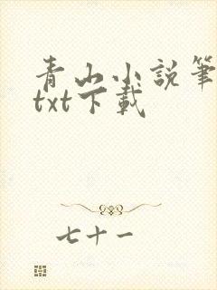 青山小说笔趣阁txt下载