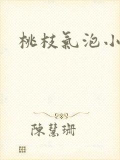 桃枝气泡小说封面