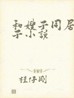 和嫂子同居的日子小说封面