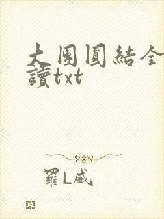 大团圆结全文阅读txt
